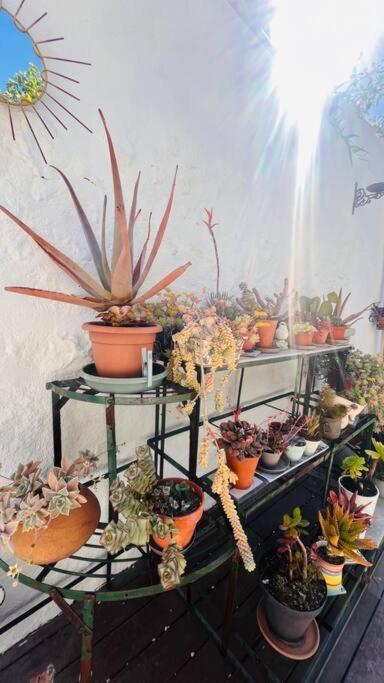 Le Jardin Du Roucas Apartman Marseille Kültér fotó